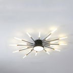 Wesley Modern Home Decoration Fireworks LED Ceiling Light - Hey Lighting