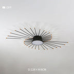 Wesley Modern Home Decoration Fireworks LED Ceiling Light - Hey Lighting