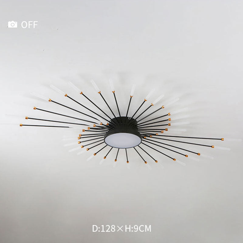 Wesley Modern Home Decoration Fireworks LED Ceiling Light - Hey Lighting