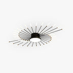Wesley Modern Home Decoration Fireworks LED Ceiling Light - Hey Lighting