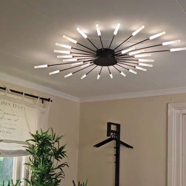 Wesley Flush-Mount Ceiling Light Fireworks, Black/Gold - Hey Lighting