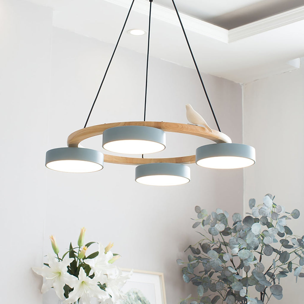 Cliff Chandelier Bird Round - Hey Lighting