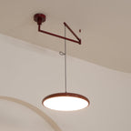 Flux Pendant Lights Morandi Adjustable Arm - Hey Lighting
