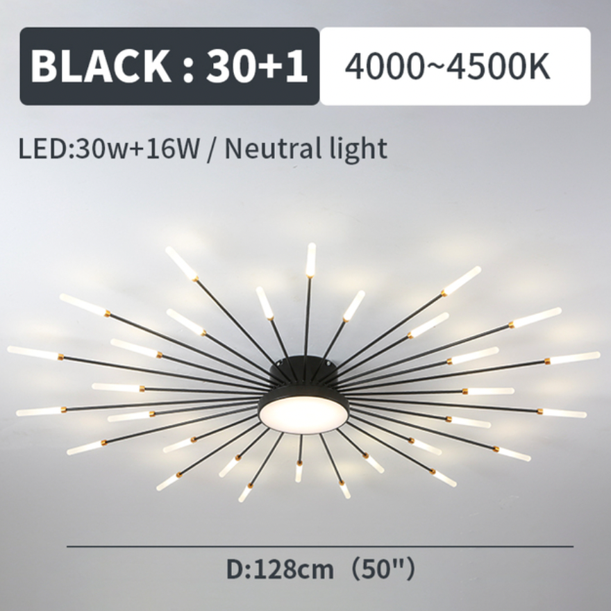 Wesley Modern Home Decoration Fireworks LED Ceiling Light - Hey Lighting