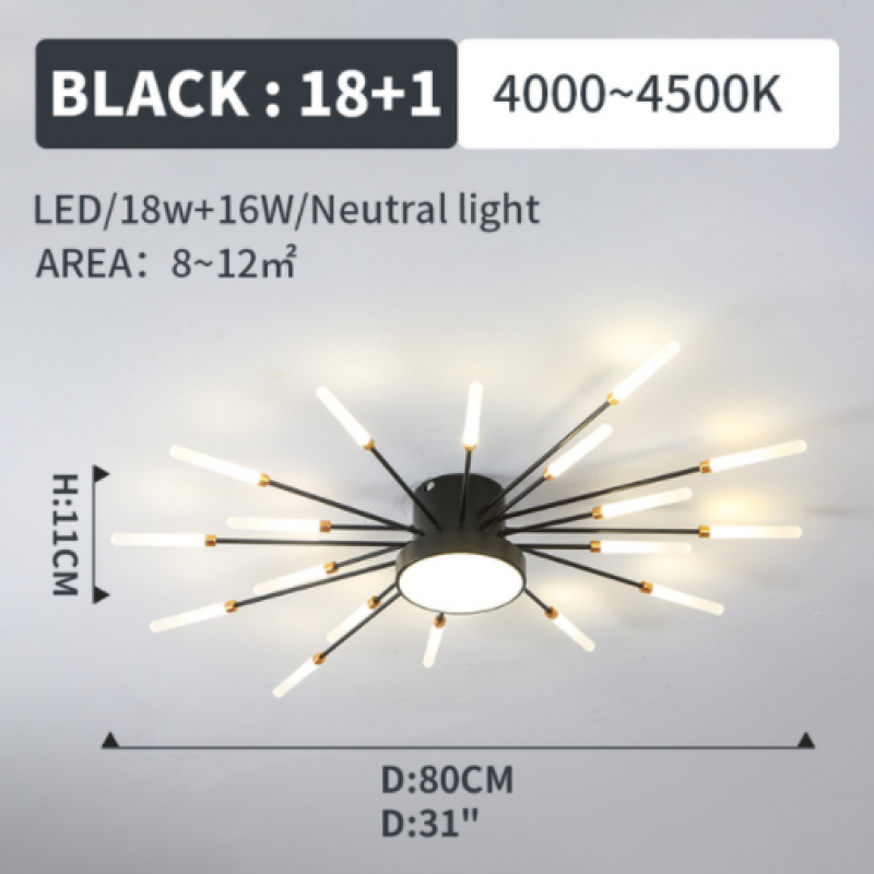Wesley Modern Home Decoration Fireworks LED Ceiling Light - Hey Lighting